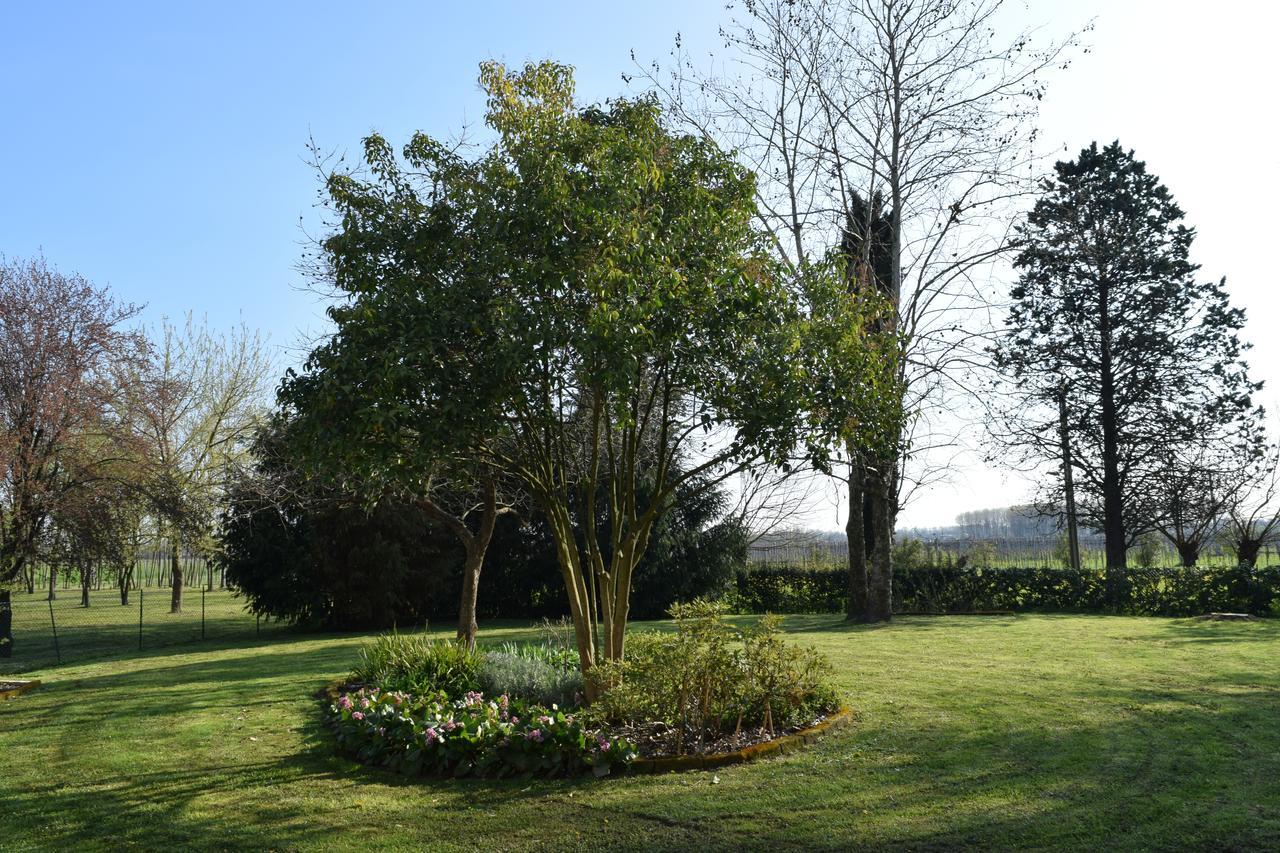 Al Vecchio Fienile Bed and Breakfast San Michele al Tagliamento Eksteriør billede